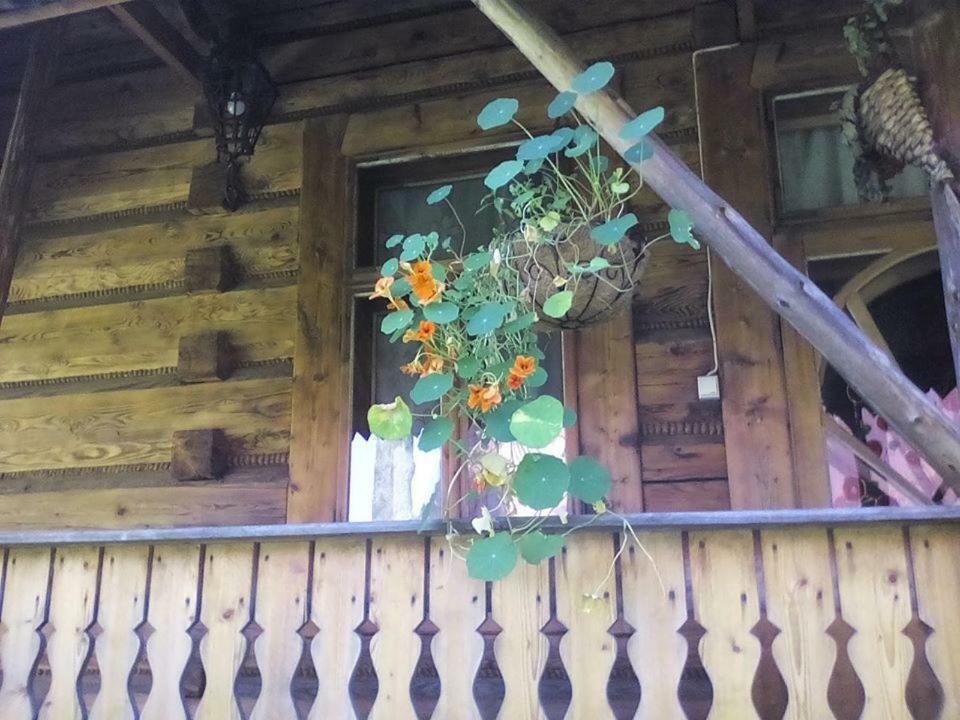 Kwatery Prywatne-Romanowka Zakopane Exterior foto