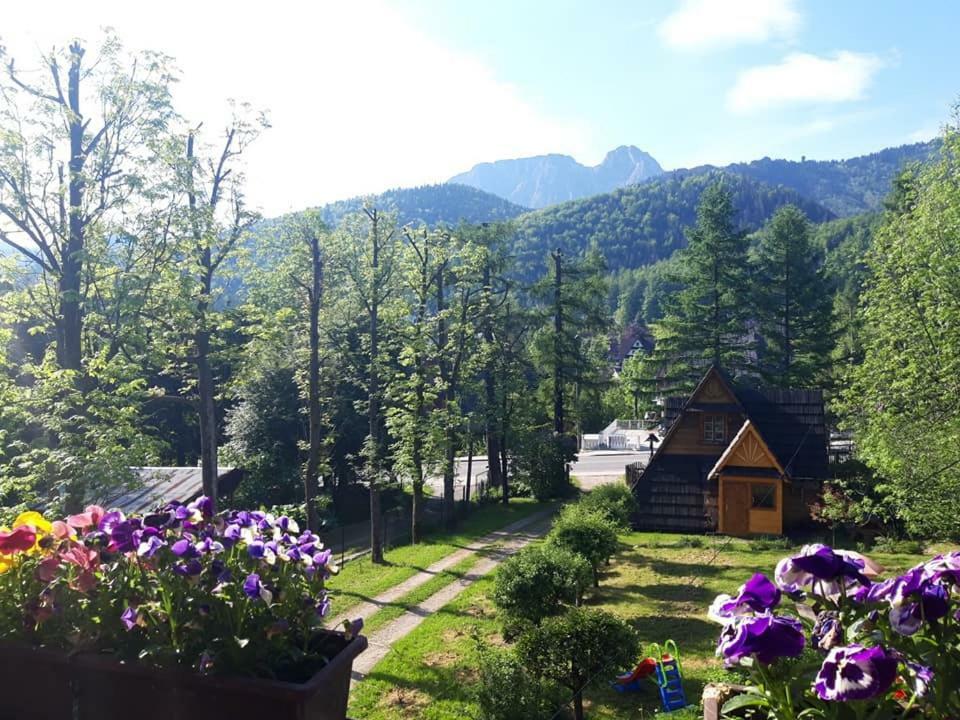 Kwatery Prywatne-Romanowka Zakopane Exterior foto